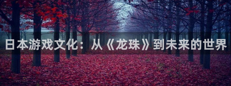 杜邦娱乐网址注册：日本游戏文化：从《龙珠》到未来的世界