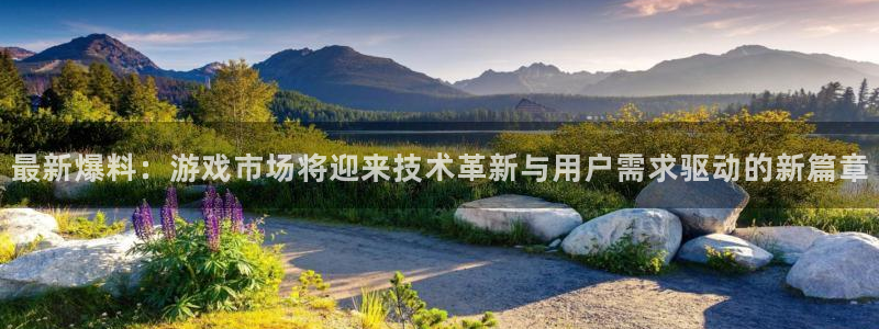 杜邦娱乐娱乐：最新爆料：游戏市场将迎来技术革新与用户需求驱动